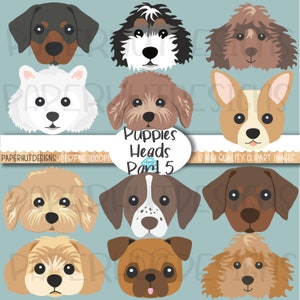Imágenes prediseñadas de caras de cachorros/Imágenes prediseñadas de cachorros/Caras de perros/Ilustraciones de cachorros/Pug/Bernedoodle/Pointer/Samoyedo/Doberman/Corgi/Labradoodle/Cockapoo