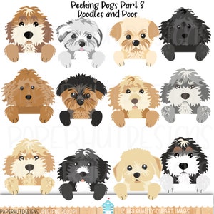 Peeking Dogs Clipart Part 8|Peeping Dogs Clip Art|Dog Illustrations|Labradoodle|Cockapoo|Cavapoo|Maltipoo|Bernedoodle|Yorkipoo|Schnoodle