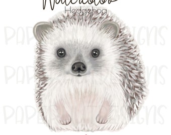 Watercolor Hedgehog Clipart: Printable JPEG PNG (Digital Download)