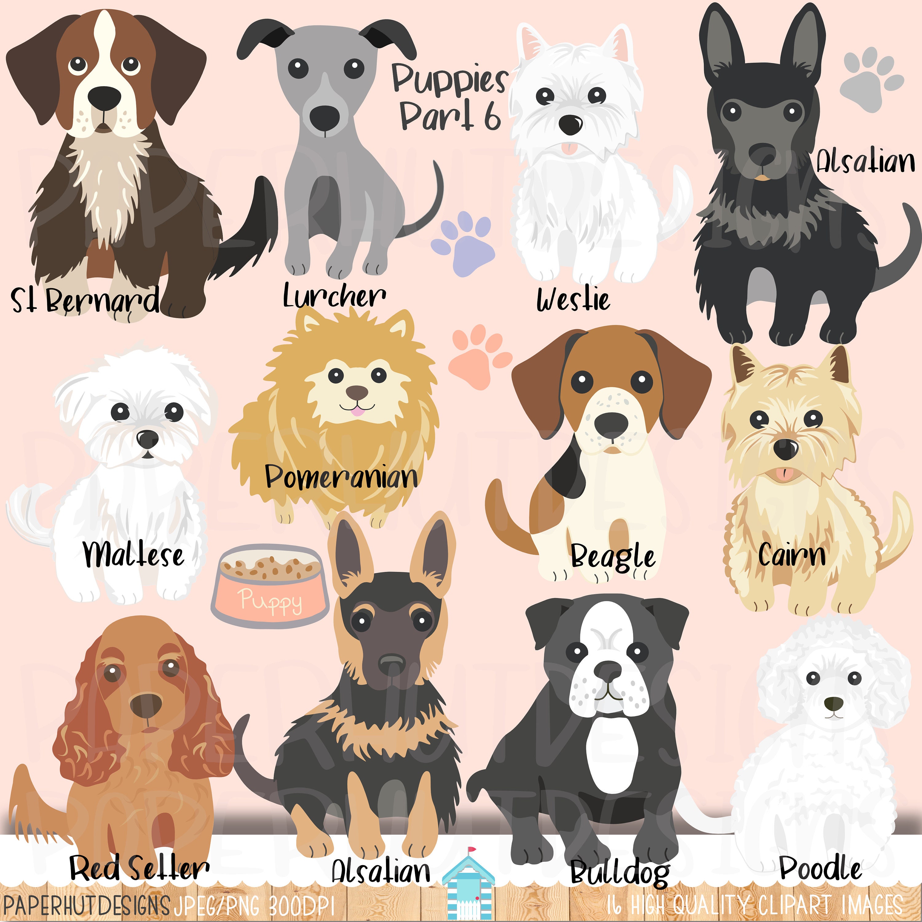 Hündchen IllustrationenWelpen Hund ClipartWelpenHund Clip ArtHund Clip  ArtHund Clip ArtCairnPudelWestieRed SetterBulldoggeLurcher - Etsy.de