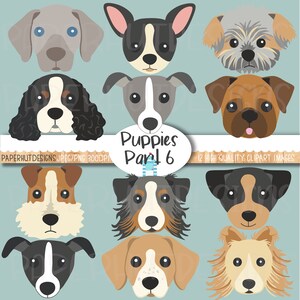 Puppy Dog Faces Clipart|Puppies Clip Art|Dog Heads|Sheltie|Greyhound|Fox Terrier|Spaniel|Chihuahua|Shorkie|Boxer|Jack Russell|Weimaraner