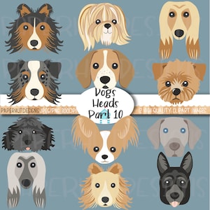 Imágenes prediseñadas de caras de perros/Ilustración de perros/Ilustración digital de cachorros/Lebrel afgano/Pastor australiano/Sheltie/Cavapoo/Papillon/Weimaraner