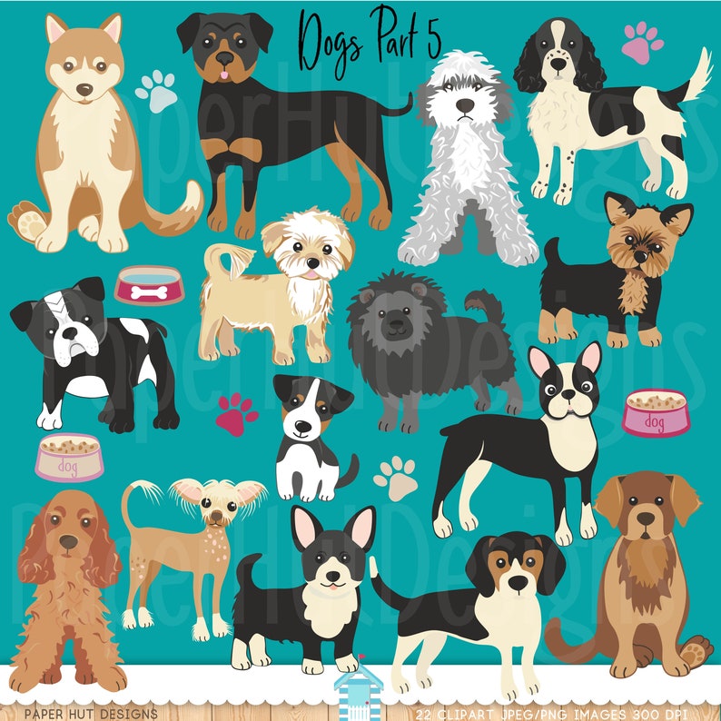 May include: A set of 22 digital illustrations of various dog breeds. The dogs are depicted in a cartoon style and are set against a turquoise background. The illustrations include a Rottweiler, a Cocker Spaniel, a Yorkshire Terrier, a Boston Terrier, a Chihuahua, a Corgi, a Beagle, a Shih Tzu, a French Bulldog, a Pug, a Dachshund, a Husky, a Chinese Crested, and a Poodle.