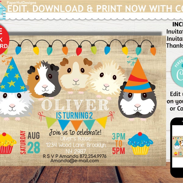 Guinea Pig Birthday - Etsy