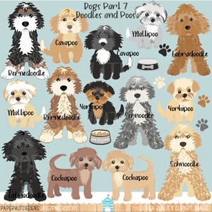 May include: A digital illustration of 12 different dog breeds, including doodles and poos. The dogs are all cartoon-style and have different colors and patterns. The breeds are: Bernedoodle, Cavapoo, Labradoodle, Mallipoo, Schnoodle, Yorkipoo, and Cockapoo.