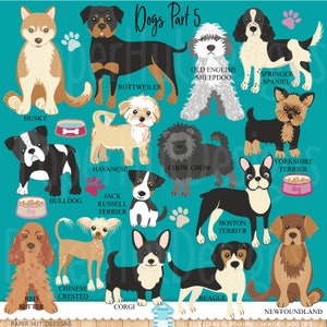 May include: Illustration of 12 different dog breeds, including a Husky, Bulldog, Rottweiler, Old English Sheepdog, Havanese, Chow Chow, Jack Russell Terrier, Corgi, Boston Terrier, Beagle, Springer Spaniel, and Yorkshire Terrier. The dogs are all cartoon-style and are set against a turquoise background.