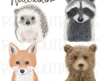 Watercolor Woodland Animals Nursery Print|Nursery Digital Bear Fox Hedgehog Raccoon Print|Watercolour Bear Illustration|Instant Download PNG
