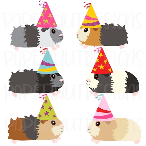 16 pezzi Animal Party Cone Cappelli Fai da te Animale Carta Cono