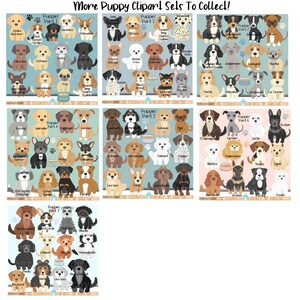 May include: A collection of 36 illustrated puppy breeds, organized into seven sets. Each set features a different group of dog breeds, including Golden Retriever, Labrador, Cocker Spaniel, Poodle, and more. The illustrations are in a cartoon style with a light blue background.