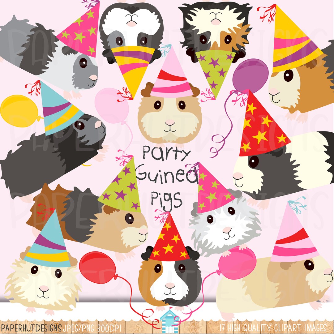 Guinea Pigs Party Clipartcute Guinea Pigs Clip Artparty Guinea Pigs