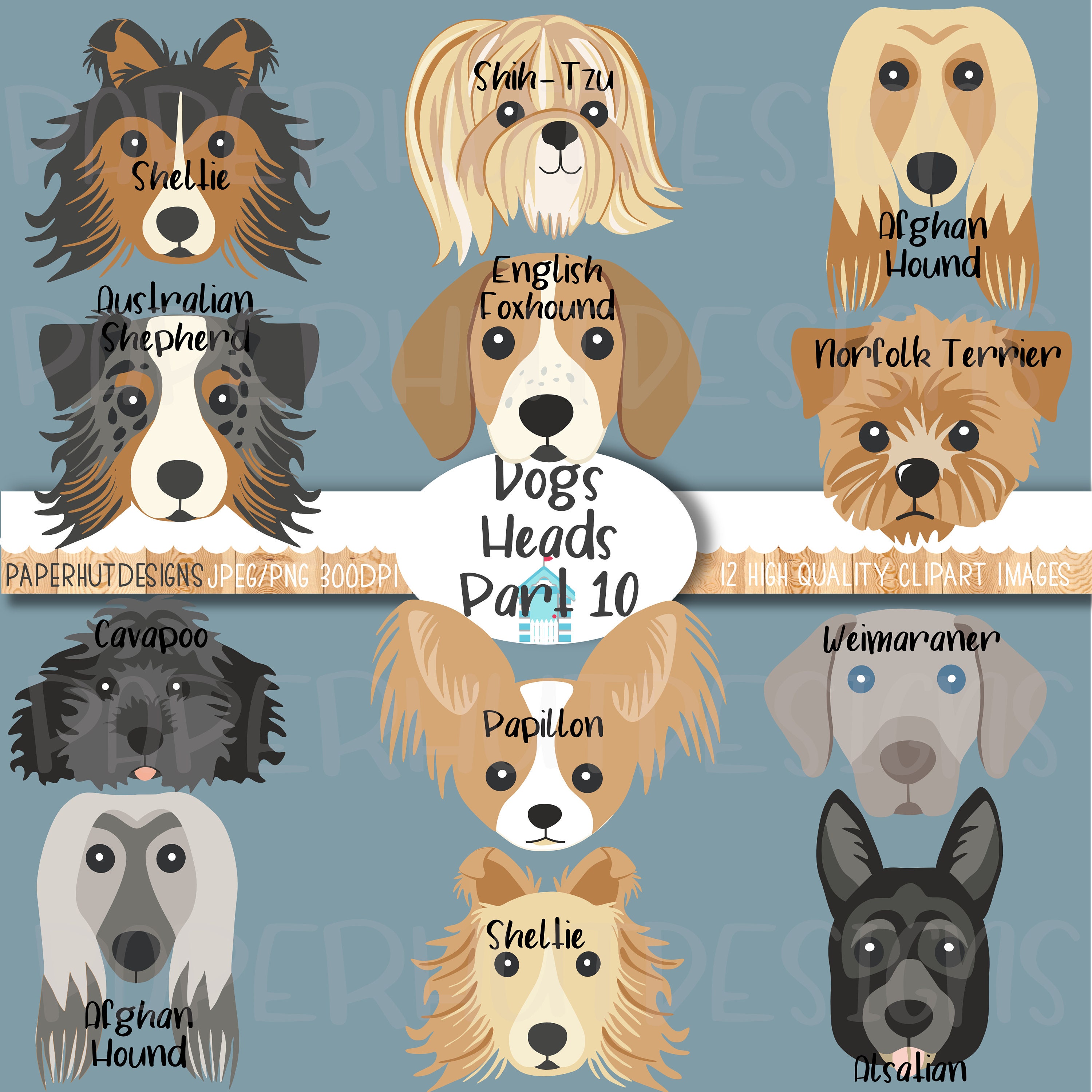 Imágenes prediseñadas de caras de perro: Ilustración de razas de cachorros  (PNG, JPEG) - Etsy México, image size:3000x3000