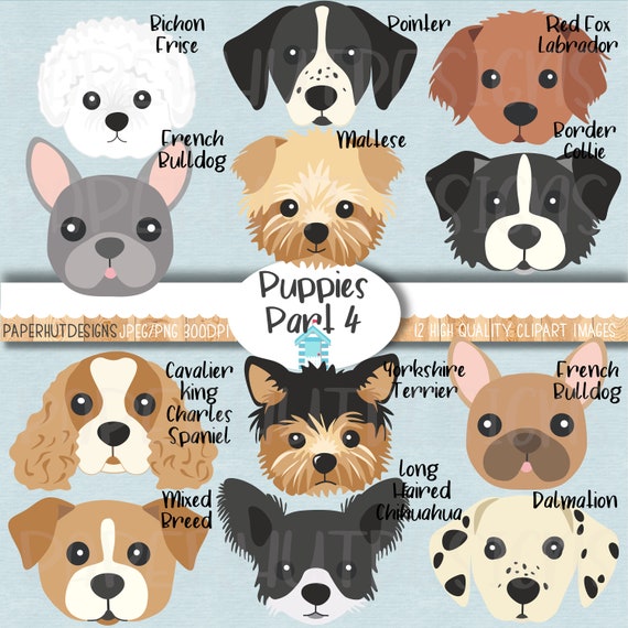 Dog Faces Clipart/puppy Dog Facesdog Illustrationspuppy Clip - Etsy Dog Faces Clipart/puppy Dog Facesdog Illustrationspuppy Clip - Etsy
