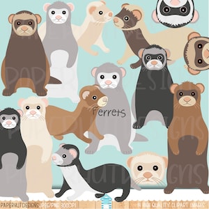 Ferret Clipart|Ferret Clip Art|Cute Ferret Faces|Ferret Heads|Ferret digital graphics|Ferret Illustrations