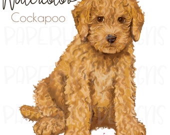 Watercolor Cockapoo Digital Clipart Design|Sublimation Cockapoo|Watercolour Cockapoo Dog Illustrations|RGB Printable Instant Download PNG