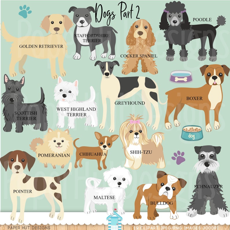 May include: A colorful illustration of 19 different dog breeds, including a Golden Retriever, Cocker Spaniel, Poodle, Boxer, Greyhound, Scottish Terrier, West Highland Terrier, Shih Tzu, Pomeranian, Chihuahua, Pointer, Maltese, Bulldog, and Schnauzer. The illustration is on a light blue background with paw prints and a bone.