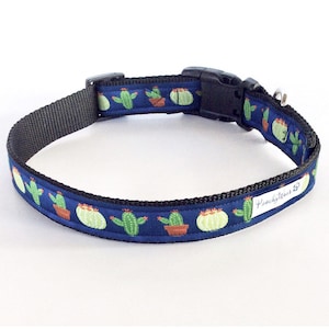 Blue Cactus Collar / Leash 1&quot; wide