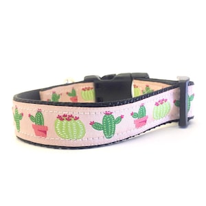 Pale Pink with Cactus Collar / Leash 1&quot; Wide