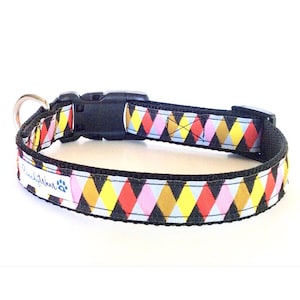 Harlequin Collar & Leash 1&quot; wide