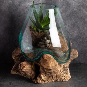 Large Melted Glass Bowl on a Wood Stand | Molten Glass Bowl for Boho Home Decor | Rustic Home decor | Terrarium Bowl for indoor plant lover