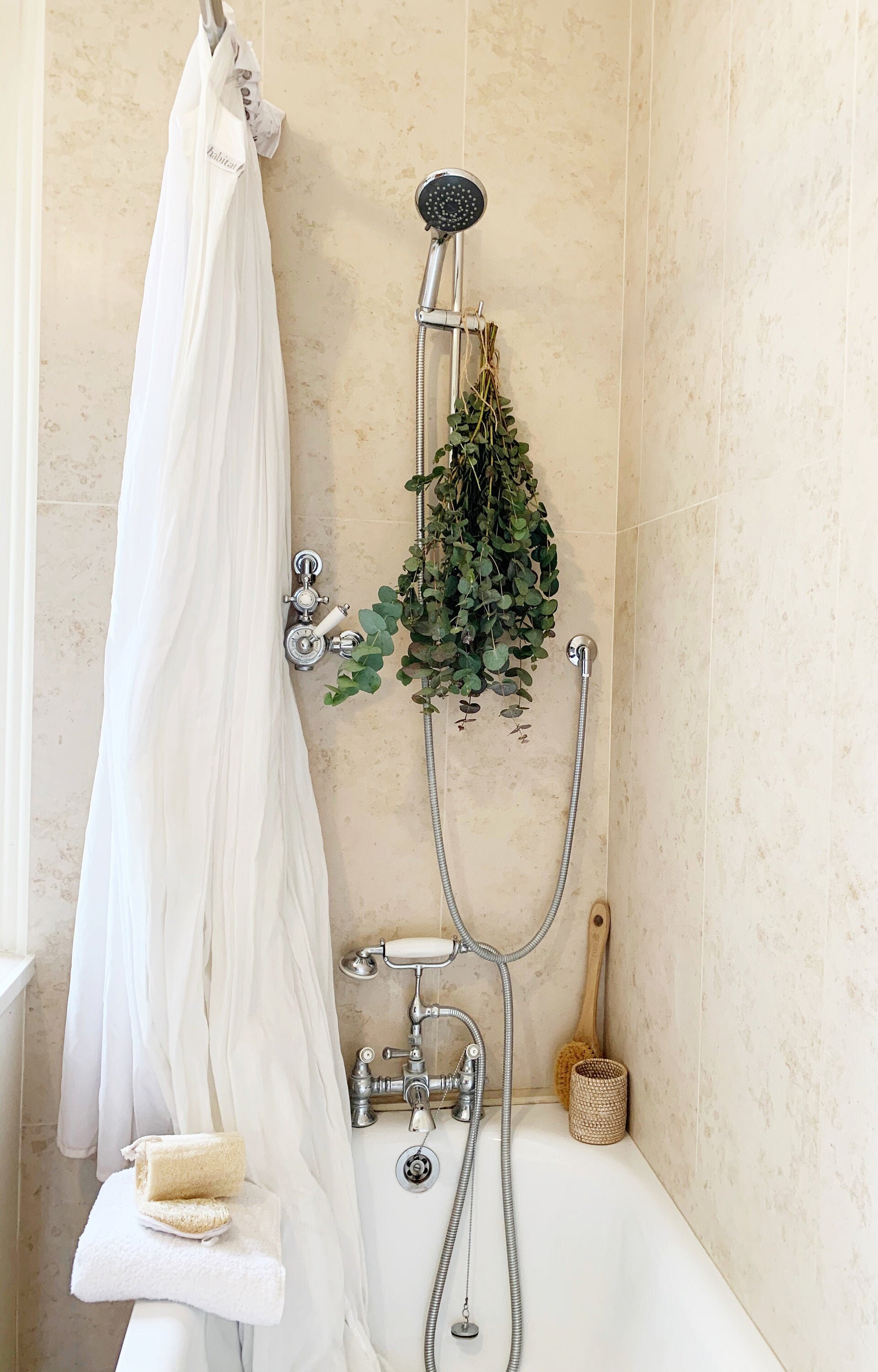 Fresh Eucalyptus Shower Spa Bundle Large & Free Natural Soap Etsy