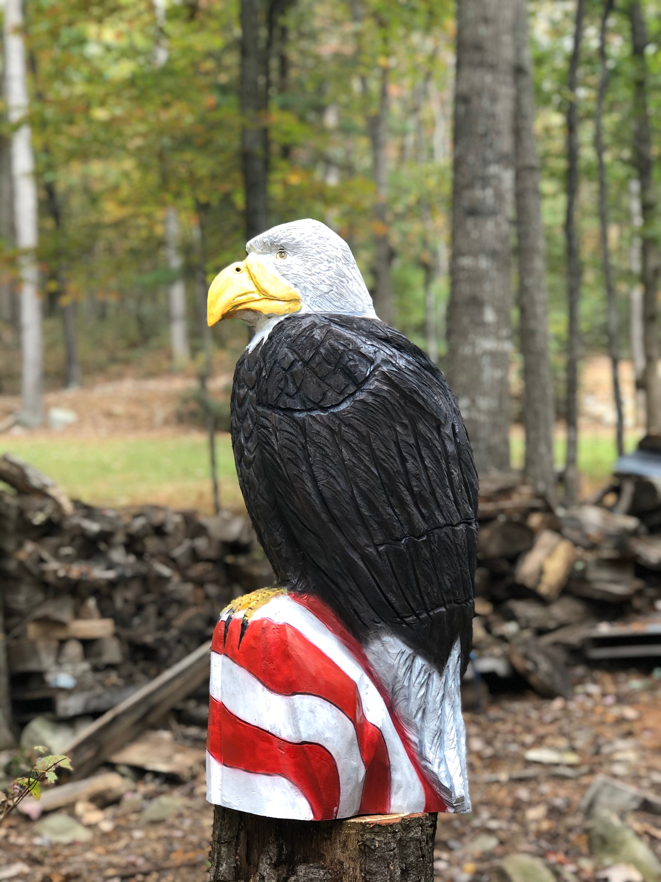Chainsaw Carving Eagle With American Flag, 3' Etsy