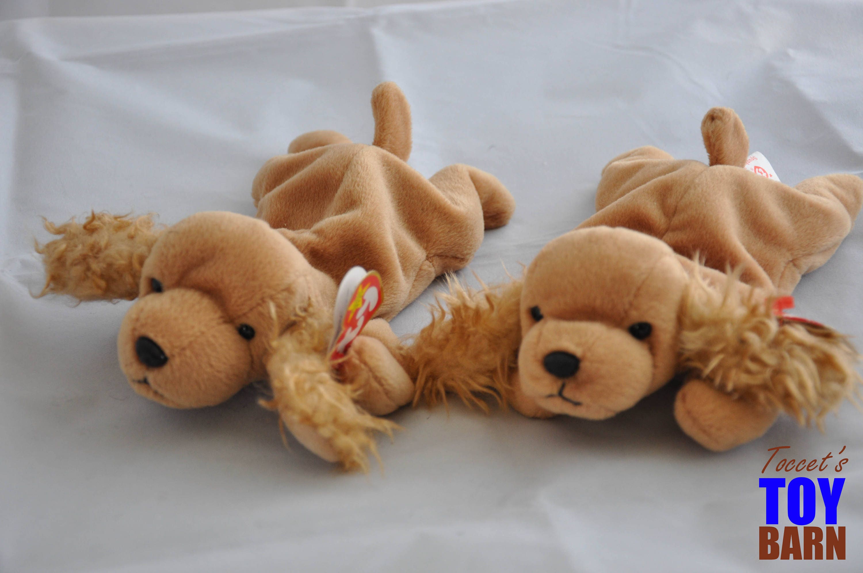 spunky ty beanie baby value