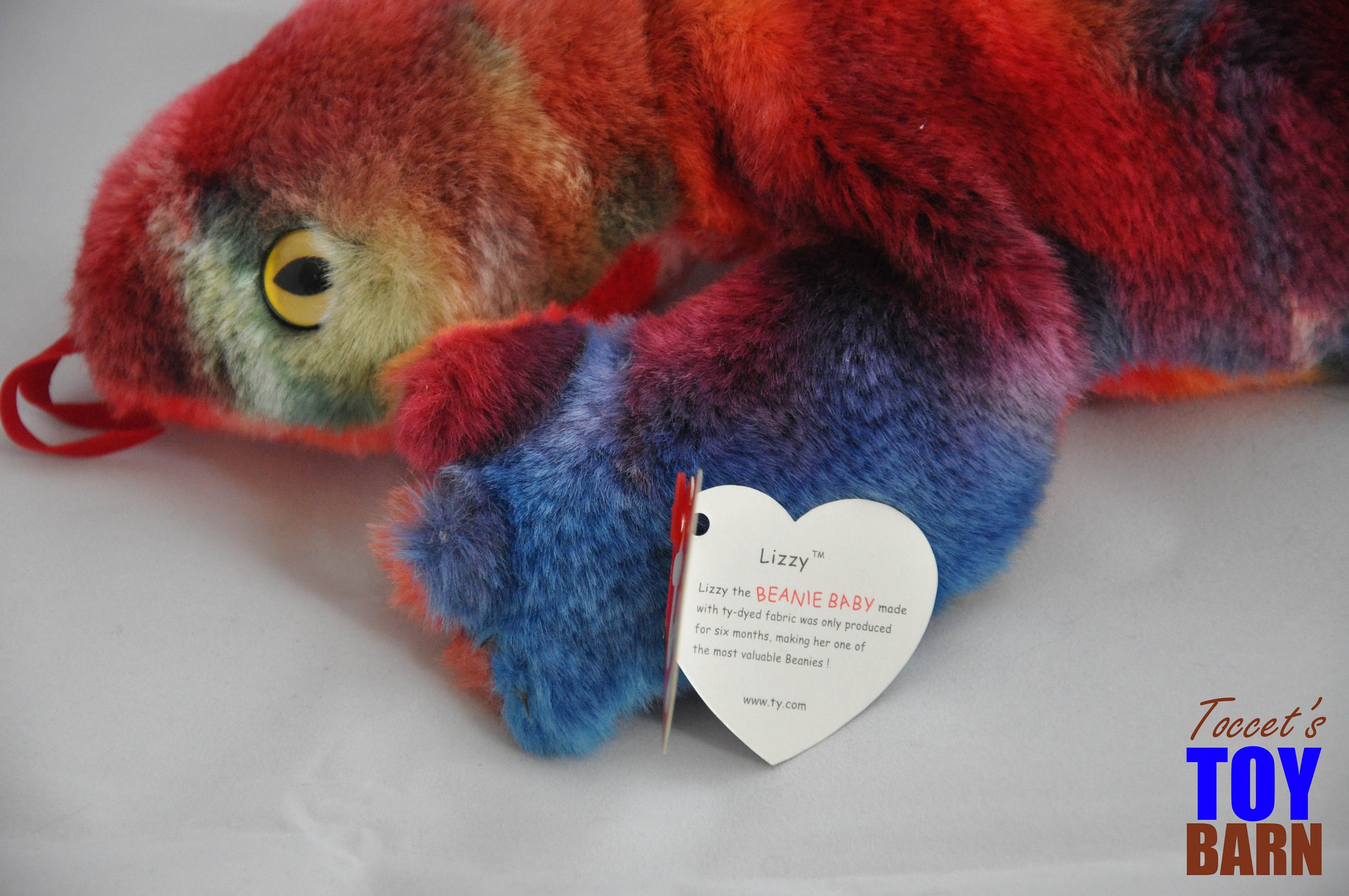 rainbow lizard beanie baby