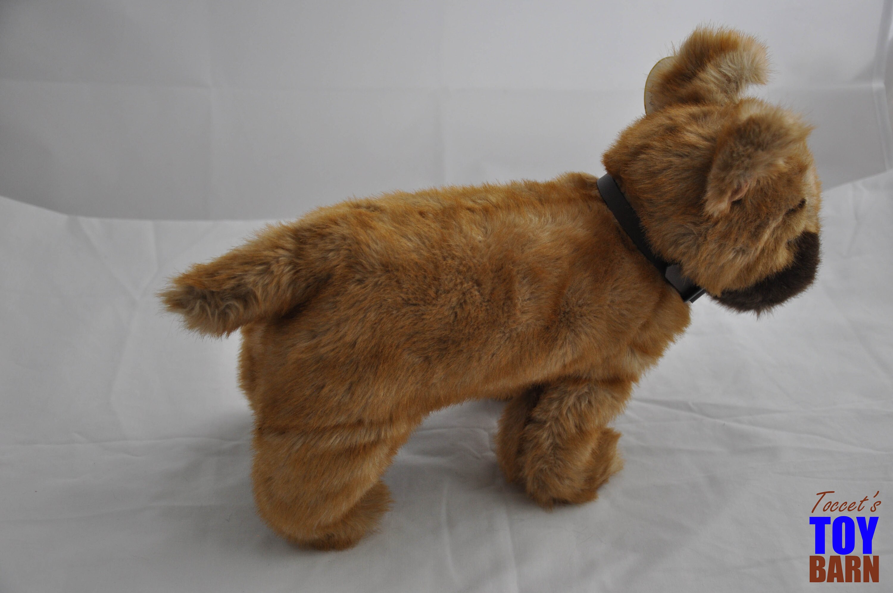Sheriff the Dog Vintage 2000 Ty Beanie Buddy