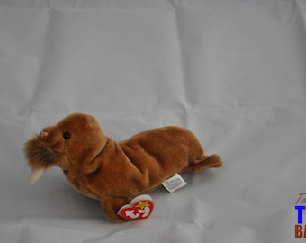 Paul the Walrus: Vintage 1999 Ty Beanie Baby