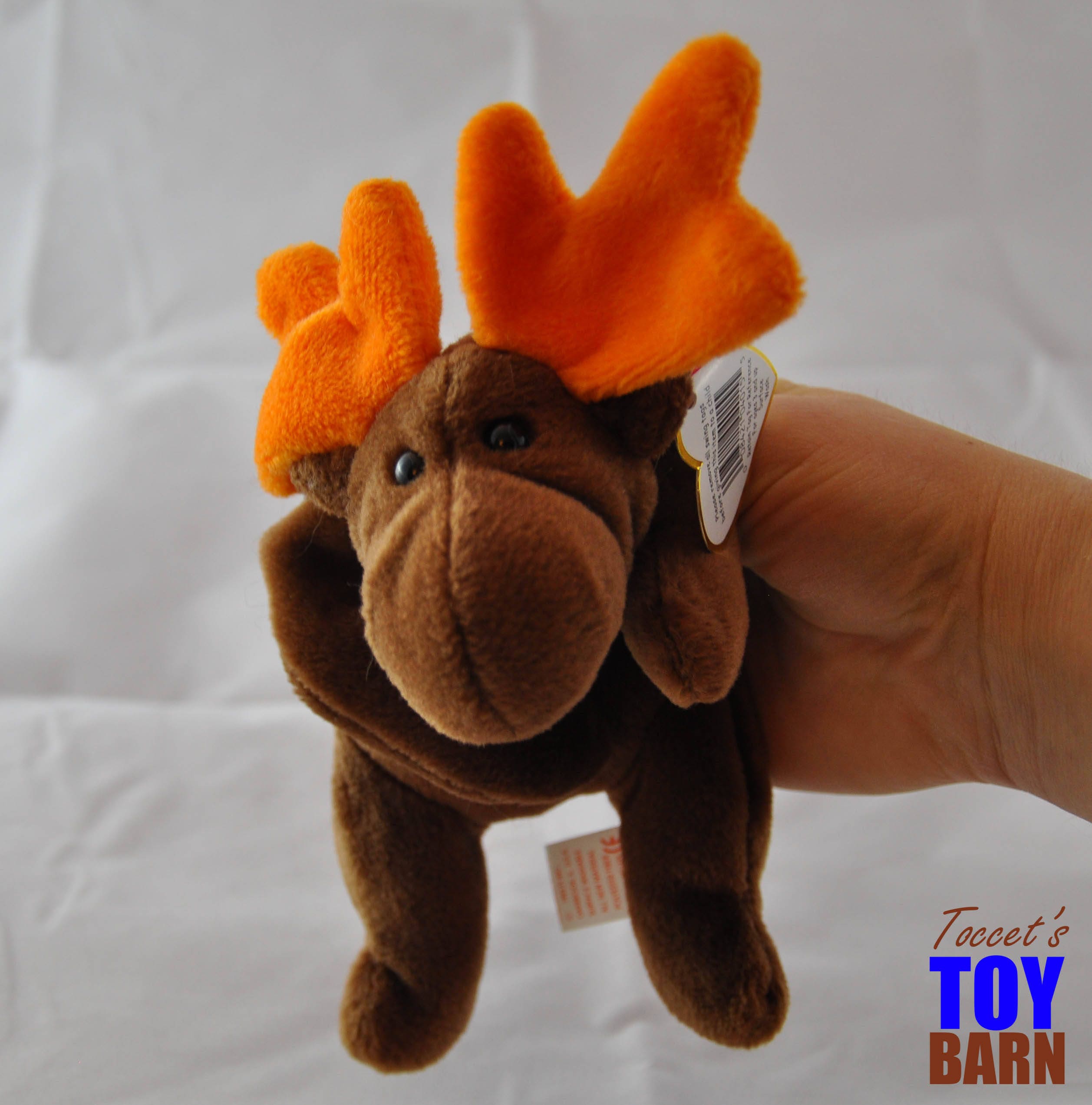 Chocolate the Moose 1993 Vintage Ty Teenie Beanie Toy