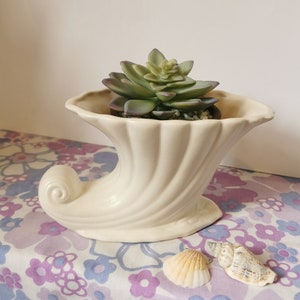 Può includere: Un vaso di ceramica bianco a forma di corno con una pianta grassa verde al suo interno. Il vaso è appoggiato su un tessuto floreale con due conchiglie.