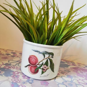 Vintage Portmeirion Pomona Grimwoods Royal George Peach Planter, plant pot. 1980s Pottery romantic style fruits home decor collectable gift.