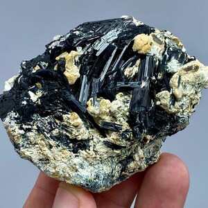 May include: A close-up of a mineral specimen featuring a cluster of black, needle-like crystals. The crystals are embedded in a matrix of beige and off-white rock, creating a striking contrast. The specimen is held in a hand.