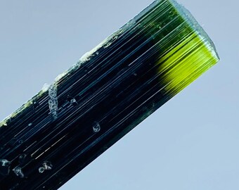 Tormalina bicolore con matrice di cleavendite: cristallo di Skardu Pakistan (38x8x8 mm)