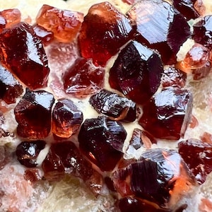 May include: A close-up image of a cluster of dark red, translucent crystals. The crystals have a faceted appearance and are set against a light-coloured, textured background. The crystals vary in size and shape, with some appearing more opaque.