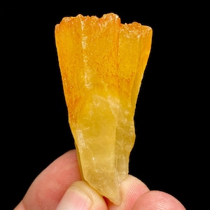 Può includere: Primo piano di un vibrante campione minerale giallo-arancio su sfondo nero. La struttura cristallina presenta una superficie ruvida e strutturata con una sfumatura di colore, che passa da un giallo più chiaro a una tonalità arancione più intensa.