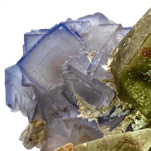 Puede incluir: Primer plano de un esp&eacute;cimen mineral que presenta un grupo de cristales c&uacute;bicos de fluorita con bordes azules y centros transl&uacute;cidos de color gris p&uacute;rpura. Adyacente a la fluorita hay una formaci&oacute;n cristalina verde con una textura rugosa. El esp&eacute;cimen est&aacute; sobre un fondo blanco.