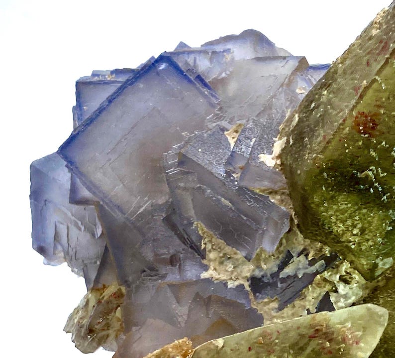 Puede incluir: Primer plano de un esp&eacute;cimen mineral que presenta un grupo de cristales c&uacute;bicos de fluorita con bordes azules y centros transl&uacute;cidos de color gris p&uacute;rpura. Adyacente a la fluorita hay una formaci&oacute;n cristalina verde con una textura rugosa. El esp&eacute;cimen est&aacute; sobre un fondo blanco.