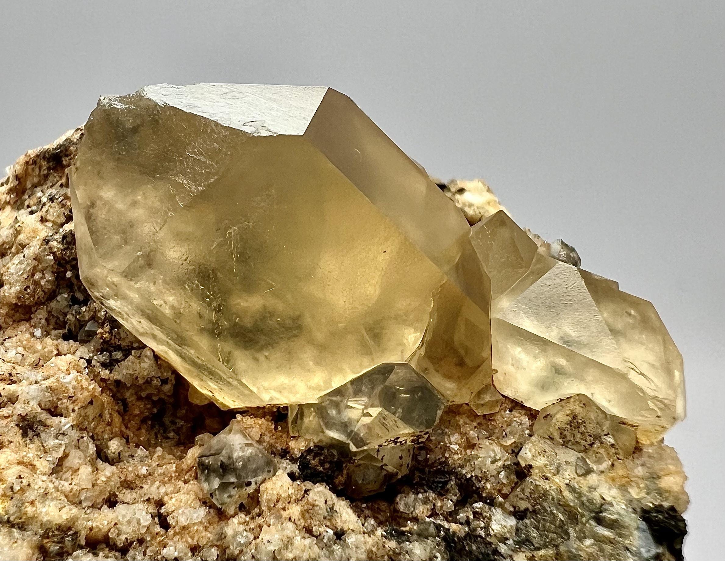 天然石 海 石 植物の跡あり アンティーク 天然石 海 石 植物の跡あり アンティーク OrbitMineralsAndGems - Etsy