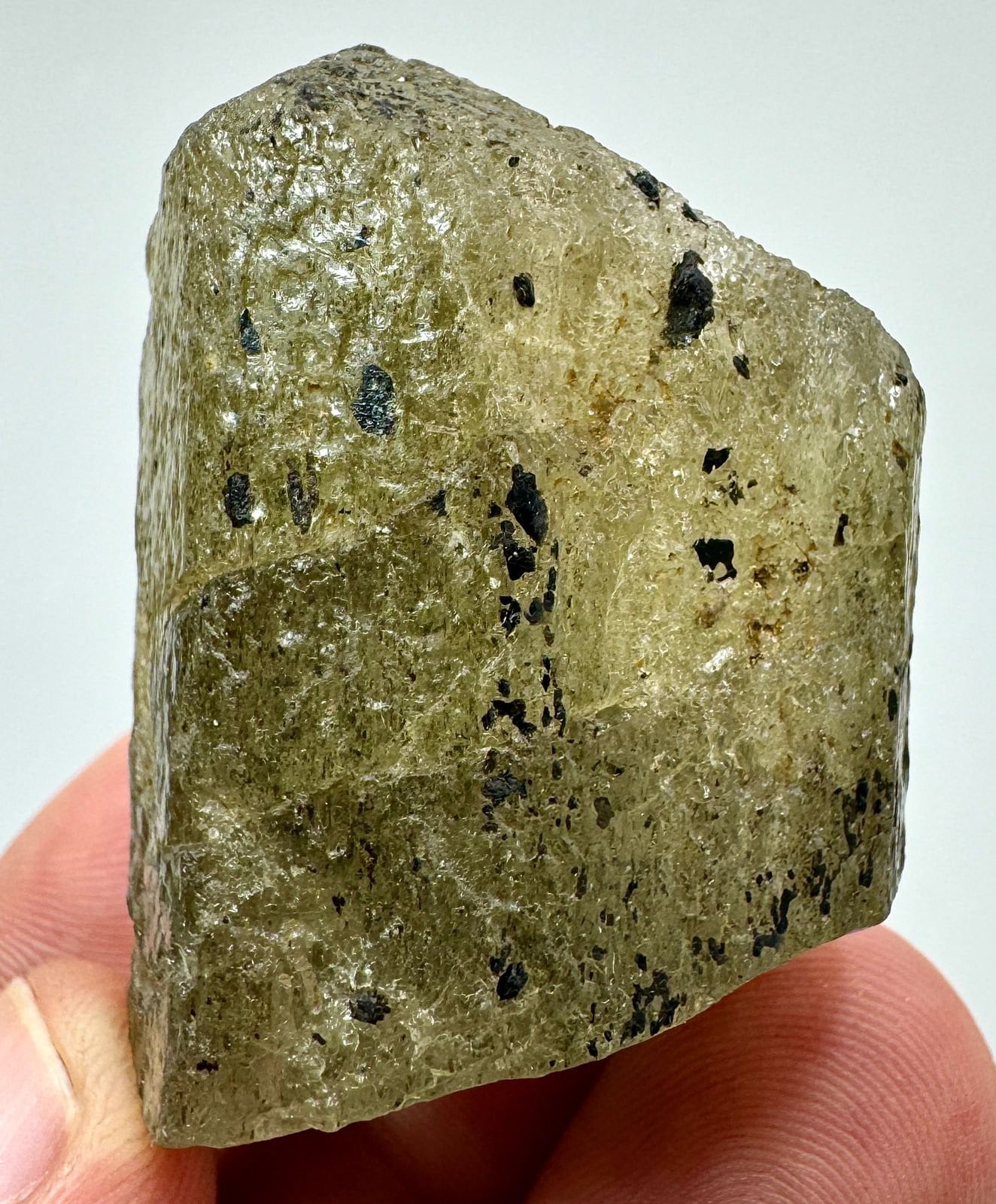 パキスタン　ギルギット産　No1170 パキスタン ギルギット産 No1170 【公式通販】