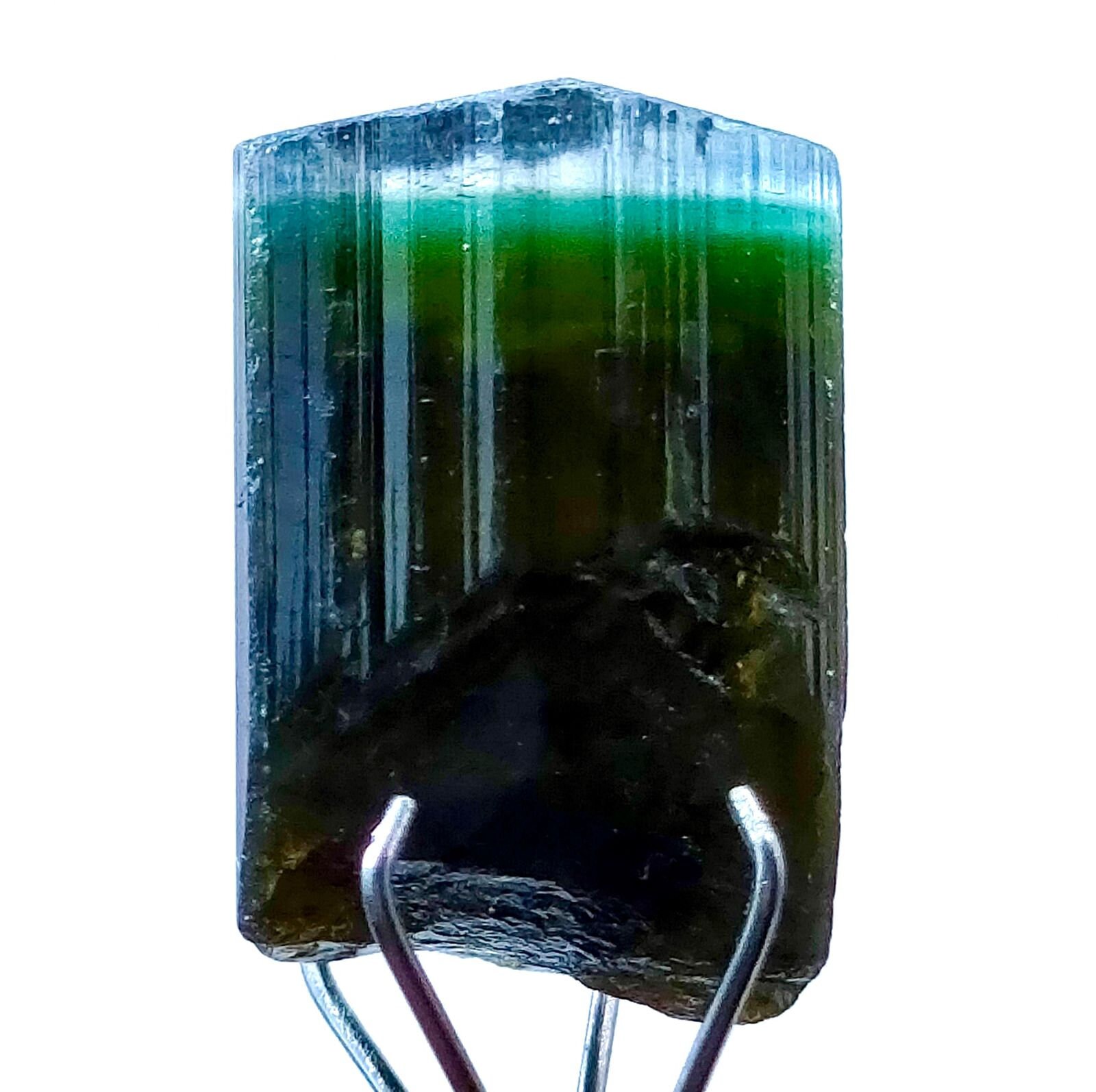10.5カラットのバイカラートルマリン結晶（母岩付き） - パキスタン 