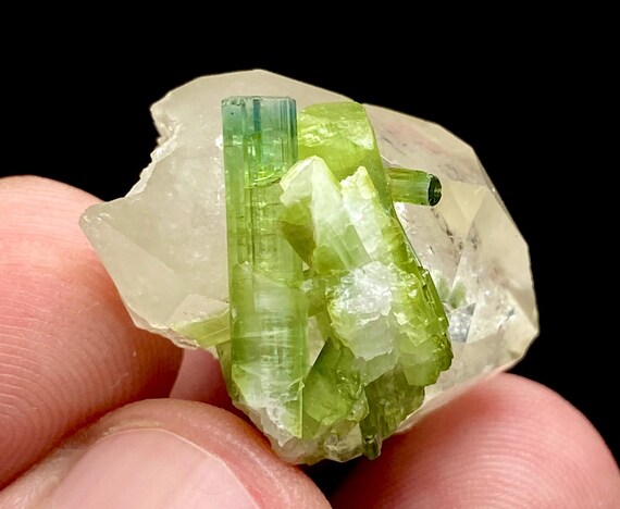 スカルドゥ産 グリーントルマリン.ショールwithクォーツ スカルドゥ産 グリーントルマリン.ショールwithクォーツ