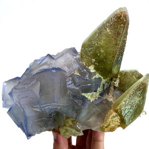 Puede incluir: Primer plano de un esp&eacute;cimen mineral natural con cristales de fluorita y cuarzo. Los cristales de fluorita son de color azul-p&uacute;rpura transl&uacute;cido, mientras que los cristales de cuarzo son de color verde claro con puntas marr&oacute;n rojizo. Los cristales est&aacute;n agrupados.
