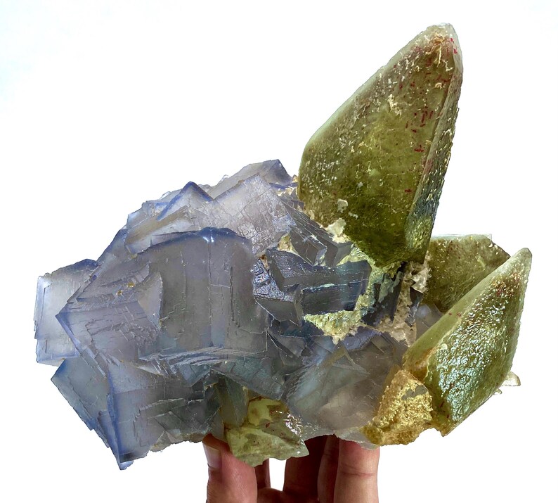 Puede incluir: Primer plano de un esp&eacute;cimen mineral natural con cristales de fluorita y cuarzo. Los cristales de fluorita son de color azul-p&uacute;rpura transl&uacute;cido, mientras que los cristales de cuarzo son de color verde claro con puntas marr&oacute;n rojizo. Los cristales est&aacute;n agrupados.
