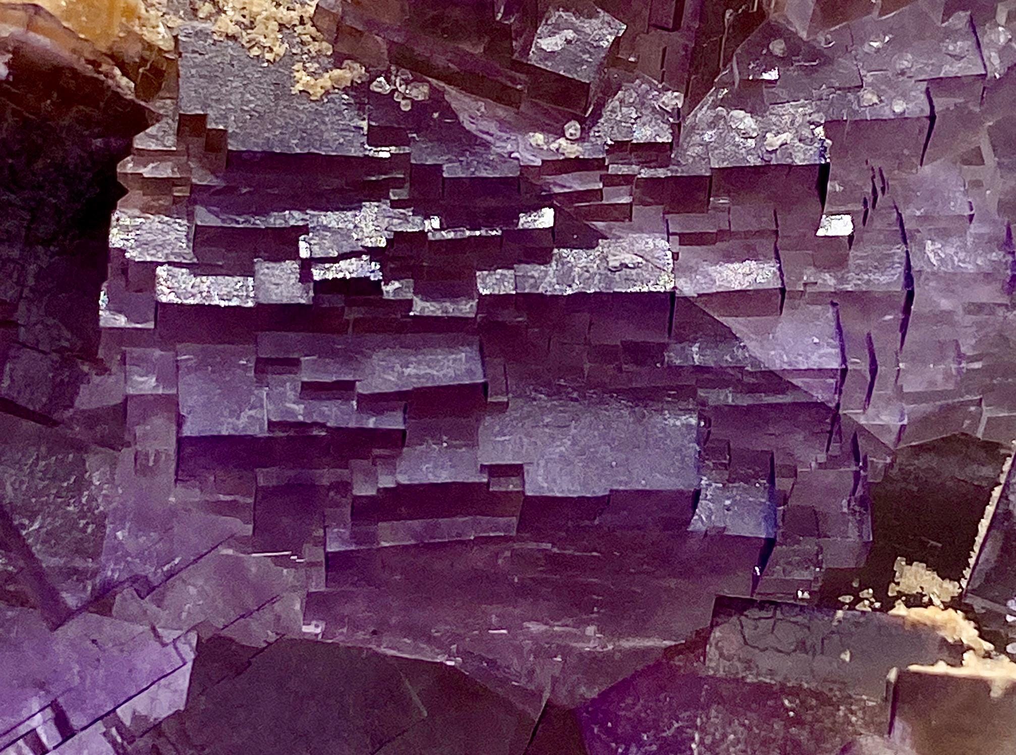 極上　仙人　置物　713g 31.7㎝　トコヒ　東さ7-0831⭐︎2F OrbitMineralsAndGems - Etsy 日本