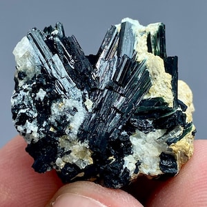 Könnte beinhalten: Nahaufnahme einer Mineralprobe mit Clustern aus dunklen, nadelförmigen Kristallen. Die Kristalle sind tiefschwarz und grün glänzend, vor dem Hintergrund einer cremefarbenen und beigefarbenen Matrix. Das Mineral wird von den Fingern einer Person gehalten.