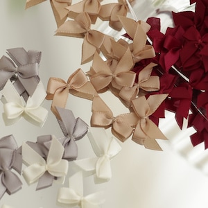 Può includere: Assortimento di piccoli fiocchi di raso in vari colori, tra cui bordeaux, beige, grigio e bianco. I fiocchi sono disposti su una superficie bianca.