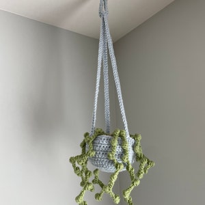 Crochet Pearl plant, hanging crochet plant, crochet plant, pearl plant, free shipping!