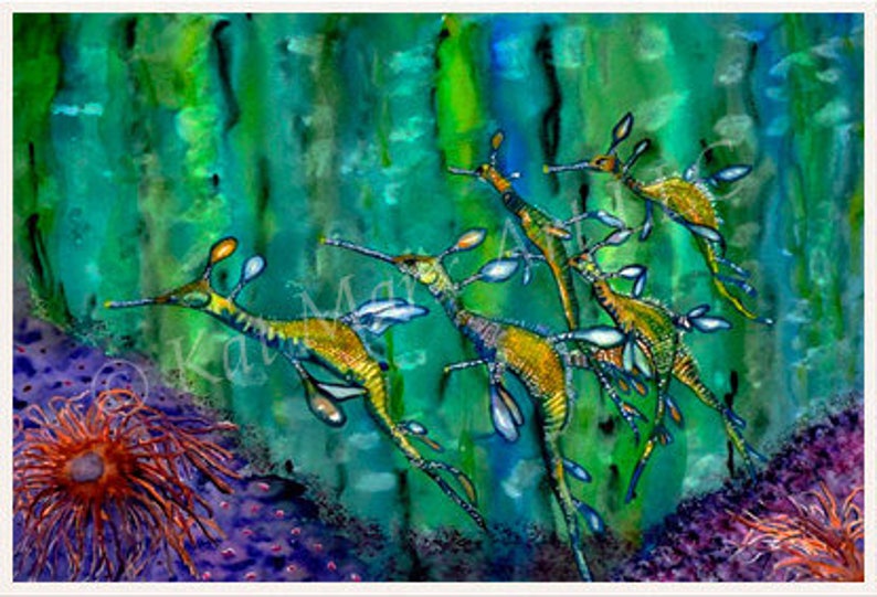 Limited Edition Weedy Sea Dragons Sea Horse Marine Life Etsy