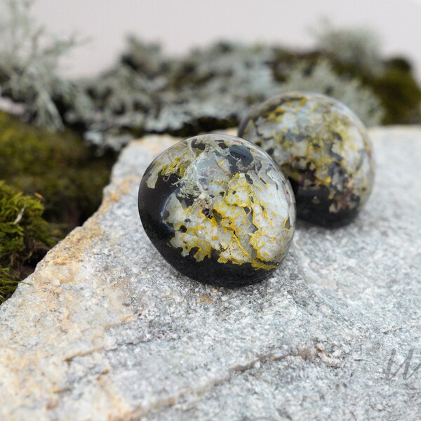 Natural MOSS earrings,Forest Nature earrings,Dried moss lichen earrings,Real MOSS earrings,Woodland Lichen jewelry,Bohemian Gift for Mother